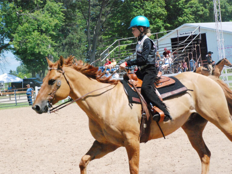 Youth Horses Newaygo County Fair