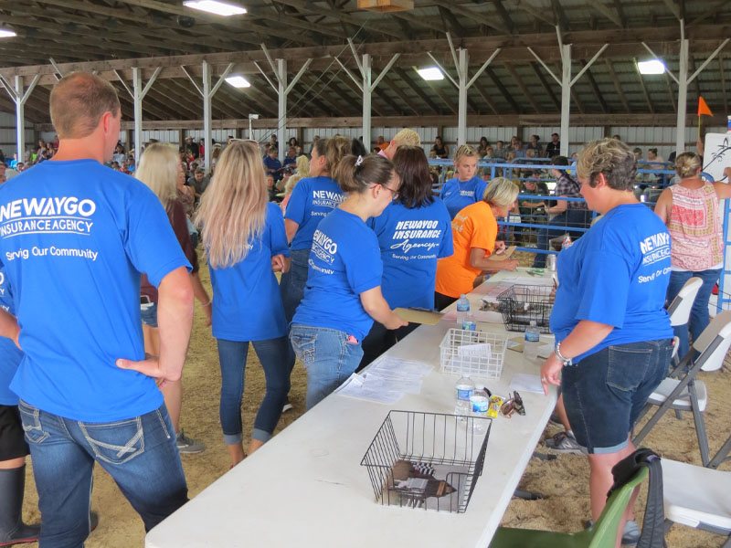 Volunteer Newaygo County Fair